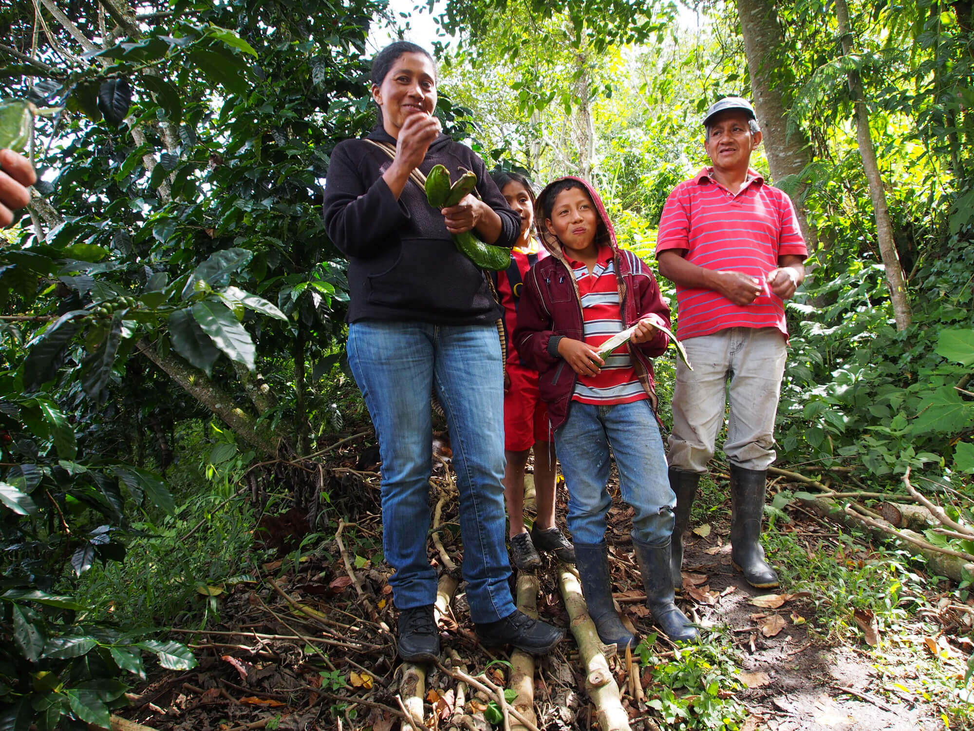 Cauca