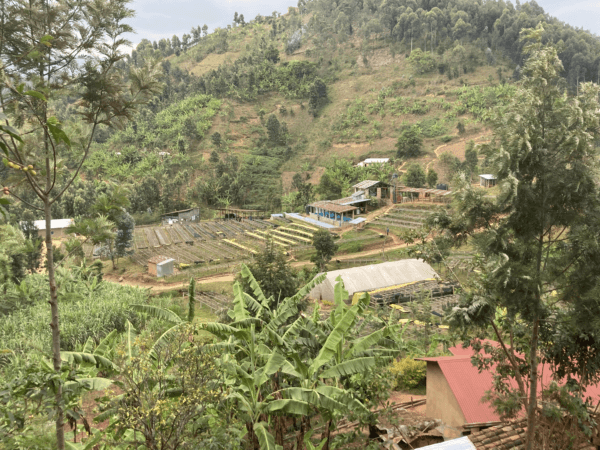 The unique microclimate of Kanzu