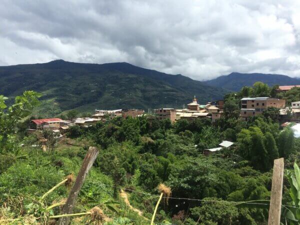 Looking down at the farms in Amazonas