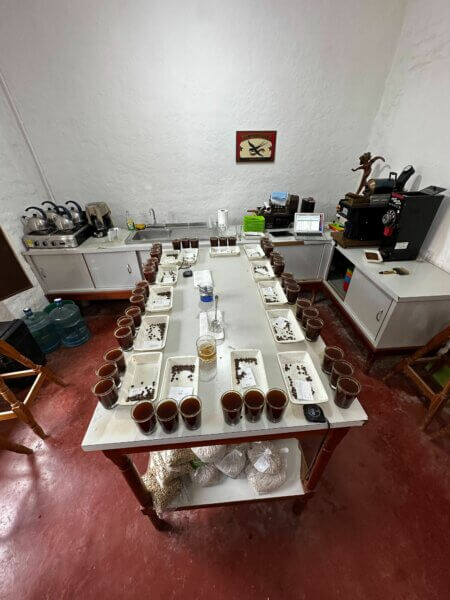 Inzá harvest: cupping so many coffees
