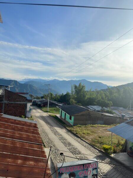 Inzá harvest: bright blue skies over Pedregal