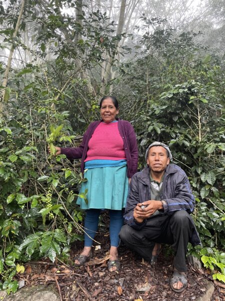 Juan Cancio y Kintina: 86 point coffees are the heart of specialty