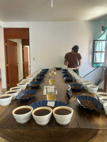 Cupping at origin: in Oaxaca with Red Fox courtesy of Ashley Box. 