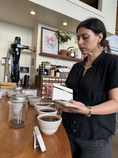 Cupping at origin: Daria Whalen cups at home