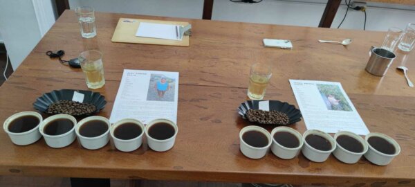 Cupping at origin