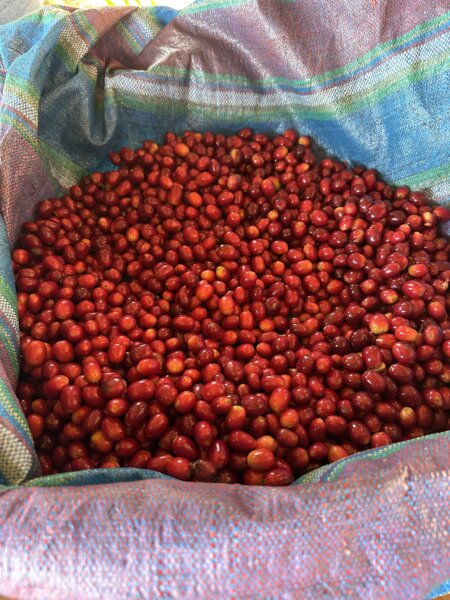 C market coffee cherries Q4 2024