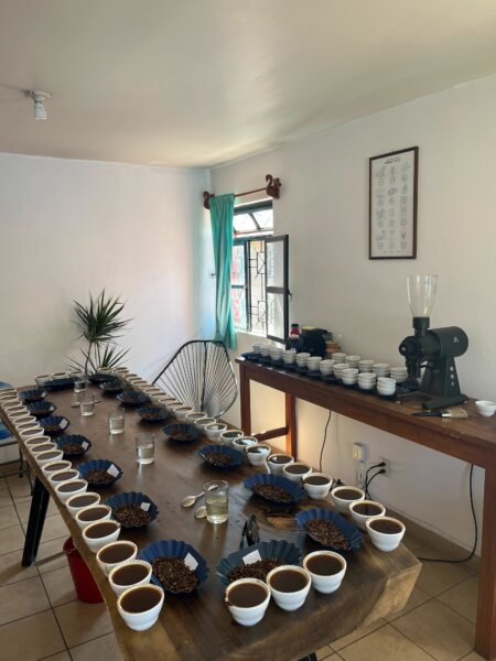 Cupping Samples: Boots on the Ground: Headquarters in Oaxaca and Lima