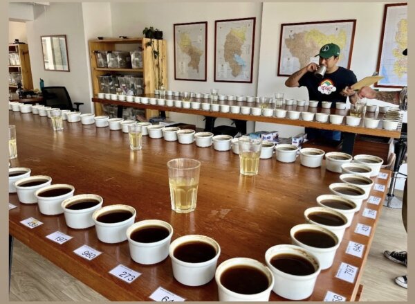 Signal detection cupping