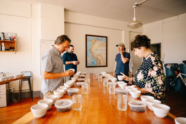 Signal detection cupping