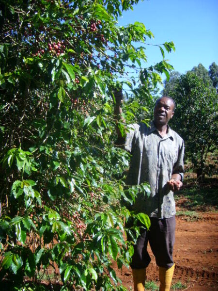 Tanzania
