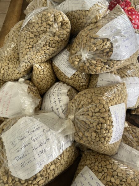Samples from Mexico 2025