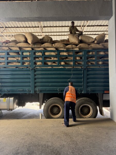 Kata Muduga in Agaro, Ethiopia