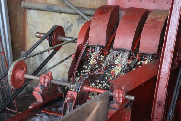 kamwangi parchment w farmers