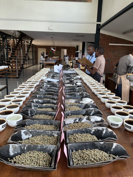 Kenya Cupping Q3 2026