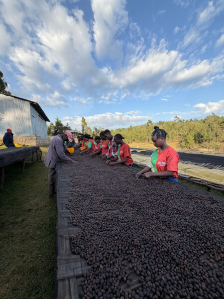 Ethiopia Bochessa Q4 2026
