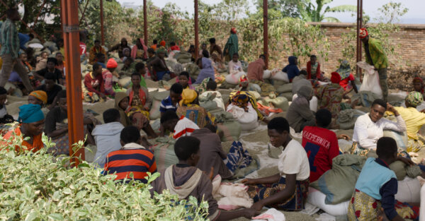 Hand sorting at Horamama dry mill