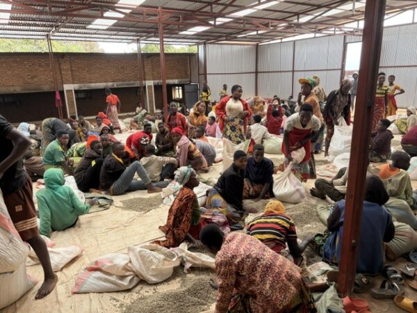 Burundi hand-sorting
