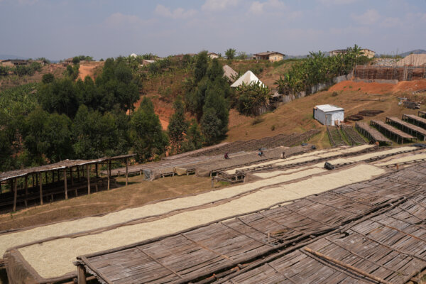 Burundi Umuco washing station